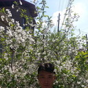  ,   , 49 ,   ,   , c 