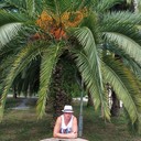 ���������� ������, ���� ������� ������, 51 ���, ������������ ��� ������, ����� � ���������, c�������� ���������