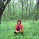  ,   , 43 ,  