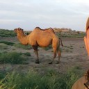  ,   , 40 ,   ,   , c 