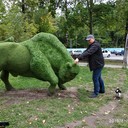 ���������� ������, ���� ������� ���������, 40 ���, ������������ ��� ����� � ���������, c�������� ���������