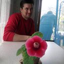 ���������� ��������������, ���� ������� Sergo, 55 ���, ������������ 