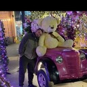 ���������� ���������, ���� ������� �������, 33 ����, ������������ ��� ������, ����� � ���������, c�������� ���������