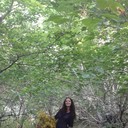 ���������� �������, ���� ������� ���������, 29 ���, ������������ ��� ������, ����� � ���������, c�������� ���������