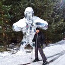 ���������� ������ ��������, ���� ������� �����, 40 ���, ������������ ��� ����� � ���������, c�������� ���������