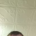 ���������� �����������, ���� ������� ���������, 43 ����, ������������ ��� ������, ����� � ���������