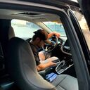 ���������� ��������, ���� ����� ��������, 19 ���, ������������ ��� ������, ����� � ���������, c�������� ���������, ���������