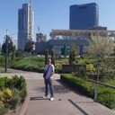 ���������� �����������, ���� ������� ������, 33 ����, ������������ ��� ������, ����� � ���������