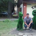 ���������� �����������, ���� ������� �������, 38 ���, ������������ ��� ����� � ���������, c�������� ���������