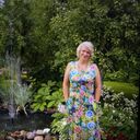 ���������� ���������, ���� ������� �������, 52 ����, ������������ ��� c�������� ���������