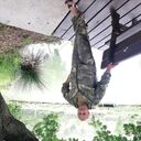  ,   , 40 ,   , 