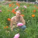 ���������� ���, ���� ������� �����, 58 ���, ������������ 