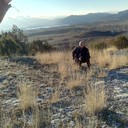 ���������� ���������������, ���� ������� ������, 58 ���, ������������ ��� ����� � ���������, c�������� ���������