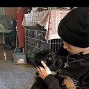 ���������� ������, ���� ������� �����, 20 ���, ������������ ��� ����� � ���������, c�������� ���������, ���������