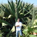  Cascais,   Chirik, 52 ,   