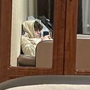 ���������� ����������, ���� ����� �����, 21 ���, ������������ ��� ������, ����� � ���������