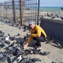 ���������� ����, ���� ������� �������, 44 ����, ������������ ��� ������, ����� � ���������