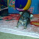 ���������� ������, ���� ������� ��������, 50 ���, ������������ ��� ������, ����� � ���������, c�������� ���������