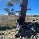  --,   , 31 ,   ,   , c , 