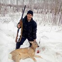 ���������� ���������, ���� ������� ����, 50 ���, ������������ ��� c�������� ���������, ���������