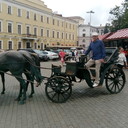 ���������� �������, ���� ������� �������, 46 ���, ������������ ��� ������, ����� � ���������, c�������� ���������