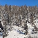 ���������� �����������-��-�����, ���� ����� ������, 22 ����, ������������ ��� ������, ����� � ���������, c�������� ���������