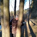 ���������� �����-���������, ���� ������� ����, 39 ���, ������������ ��� ������, ����� � ���������, c�������� ���������, ���������