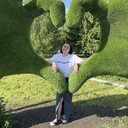 ���������� ���������, ���� ������� �����, 50 ���, ������������ ��� ������, ����� � ���������