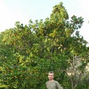  ,   , 56 ,   ,   , c 