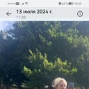  -,   , 55 ,   c 