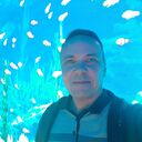  -,   , 47 ,   ,   , c , 