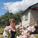  ,   , 53 ,     , 