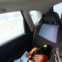 ���������� ������, ���� ������� Pavel, 29 ���, ������������ ��� ������, ����� � ���������