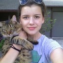 ���������� ����, ���� ������� ���, 26 ���, ������������ ��� ������