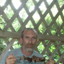  ,   e, 46 ,  