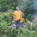  ,   , 52 ,  