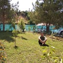 ���������� �������������, ���� ������� �����, 37 ���, ������������ ��� ������, ����� � ���������, ���������