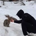  ,   Timur, 34 ,   ,   , c 