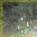 ���������� �����-�������, ���� ������� �����, 38 ���, ������������ ��� ������, ����� � ���������, c�������� ���������