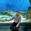 ,   , 45 ,   ,   , c 