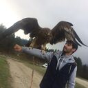  ,   , 32 ,  