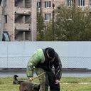 ���������� �����-���������, ���� ����� Zlayababka, 20 ���, ������������ ��� ������, ����� � ���������