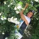 ���������� ����������, ���� ������� �����, 56 ���, ������������ ��� ������, ����� � ���������, c�������� ���������