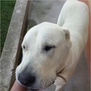 ���������� �������, ���� ������� ����, 35 ���, ������������ ��� ������, ����� � ���������, c�������� ���������, ���������