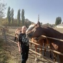  ,   , 62 ,     , c 