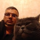  ,   , 51 ,   