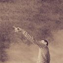 ���������� ������, ���� ������� �����, 34 ����, ������������ ��� ����� � ���������, c�������� ���������