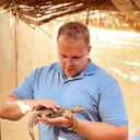 ���������� �����, ���� ������� ����, 32 ����, ������������ ��� ������, ����� � ���������