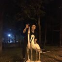  ,   , 27 ,   ,   , c , 