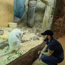 ���������� �����-���������, ���� ������� ������, 32 ����, ������������ 